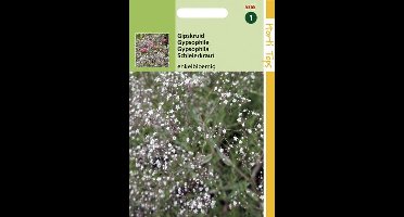 Hortitops Zaden - Gypsophila Panic. Enkelbl. Wit