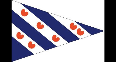 Talamex Friese puntvlag 30 x 45 cm