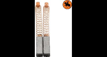 Koolborstelset voor Ion Motor PETACA 929 - 4,8x4,8x14mm