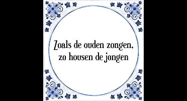 Tegeltje met Spreuk (Tegeltjeswijsheid): Zoals de ouden zongen, zo housen de jongen + Kado verpakking & Plakhanger