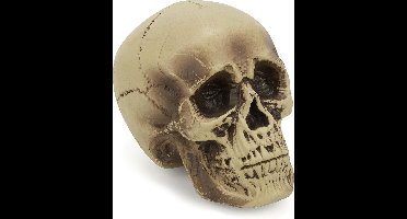 Vegaoo - Plastic schedel decoratie