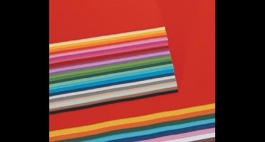 Folia fotokarton 250 blad