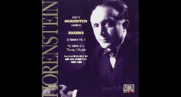 Horenstein Dirigiert Brahms
