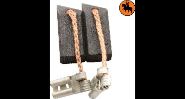 Koolborstelset voor AEG PH5F - 6,3x8x18mm