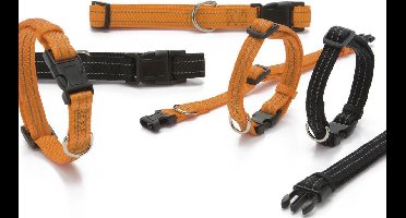 Nylon halsband Aventura. Oranje. Reflecterend stiksel.