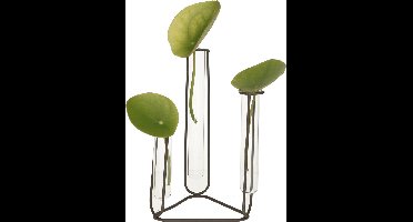 Dijk Natural Collections Stekvaasje/bloemenvaasje reageerbuis model - D12 x H22 cm - op voet van metaal