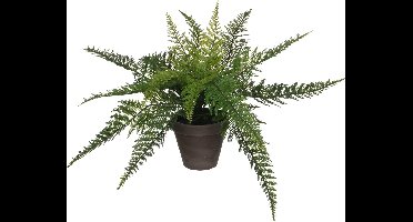 Mica Decorations - Varen Kunstplant in Bloempot Stan - H38 x Ø50 cm - Groen