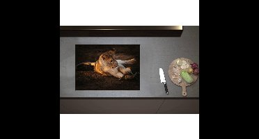 Inductieplaat Beschermer - Afrikaanse Vrouwtjes Leeuw Spelend met Stok - 70x50 cm - 2 mm Dik - Inductie Beschermer - Bescherming Inductiekookplaat - Kookplaat Beschermer van Wit Vinyl