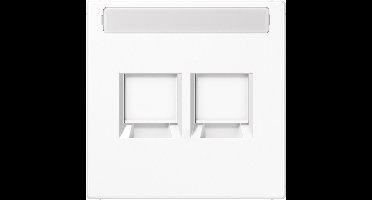 Jung Inzetplaat Schakelmateriaal - LS1969-2NAWEWW - E2VUZ