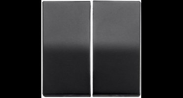 ION | Bedieningswip Serieschakelaar | Mat Zwart - E1 Serie