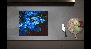 Inductieplaat Beschermer - Blauwe Tuinlobelie Bloemen voor Donkere Achtergrond - 58x50 cm - 2 mm Dik - Inductie Beschermer - Bescherming Inductiekookplaat - Kookplaat Beschermer van Wit Vinyl