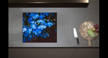 Inductieplaat Beschermer - Blauwe Tuinlobelie Bloemen voor Donkere Achtergrond - 57x50 cm - 2 mm Dik - Inductie Beschermer - Bescherming Inductiekookplaat - Kookplaat Beschermer van Wit Vinyl