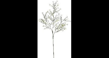 MICA DECORATIONS ASPARAGUS TAK GROEN - L66CM GREEN