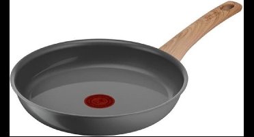 Tefal Pan Tefal Ø 24 Cm