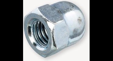 dopmoer RVS-A2. M4. 5 stuks. Homefix.