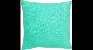 Dutch Decor JAMES - Kussenhoes 45x45 cm - duurzaam katoen - effen kleur - Beveled Glass - groen - met rits - zonder binnenkussen