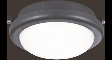 Trio RL Led plafonniere voor buiten 14 cm antraciet
