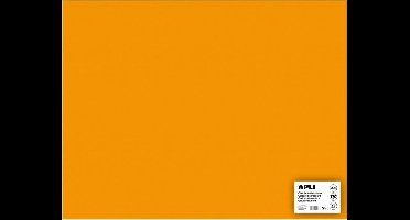 APLI  Oranje Karton 50 x 65 cm 170 g/m² - 25 vel