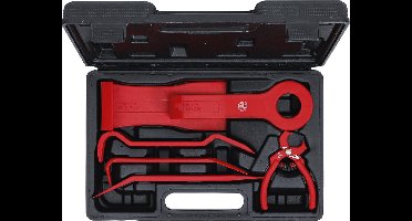 Bekleding & sierlijst demontage set in koffer - Smart Repair - BGS1325