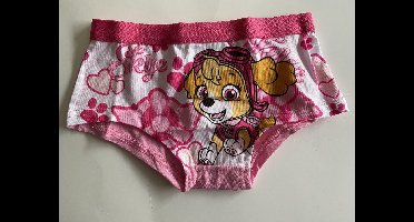 Hipster voor meisjes |ondergoed voor meisjes| Paw Patrol M | 4-6 jaar | 110/116 | 3 pack