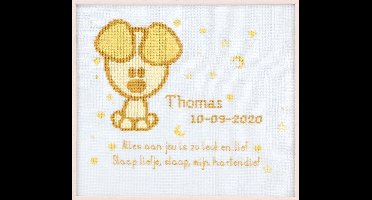 Pako Borduurpakket - Geboorte - telpatroon- Woezel & Pip baby geboorte tegel Pip - 271.043 - Aida blauw - 27 x 24 cm - DIY kit
