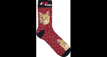 Sok Rode Kat  maat 31-36