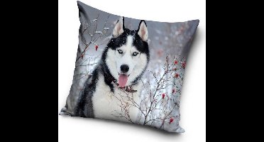 Husky in de sneeuw - Sierkussen Kussen 40 x 40 cm inclusief vulling