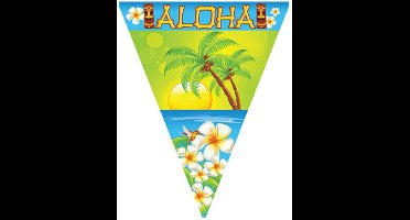 2 stuks Vlaggenlijn Hawaii , 10 meter, Zomer, Feest