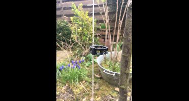 Plant clips 25 stuks zwart voor ondersteuning tomaten, rozen, aubergines, courgettes, sierplanten etc.