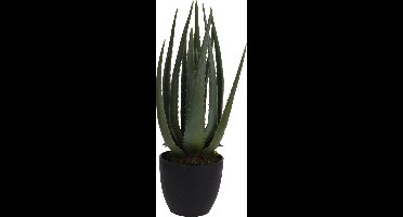 ProGarden - Kunstplant - in - pot - Aloe - Vera - 25x45 - cm