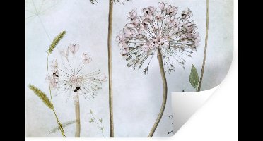 Muurstickers - Sticker Folie - Bloemen - Sierui - Stilleven - Planten - 30x20 cm - Plakfolie - Muurstickers Kinderkamer - Zelfklevend Behang - Zelfklevend behangpapier - Stickerfolie