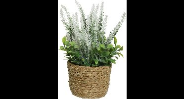 Everlands Lavendel - kunstplant in plantenmand - wit - D12 x H26 cm