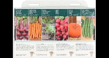 Buzzy Collection Kweekset 6 Groentetuin Voor De Starter - 1 set