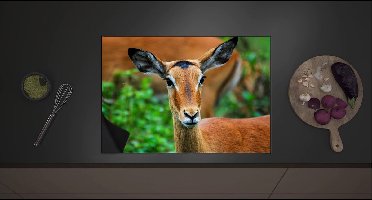 Inductie Beschermer - Kop van Antilope met Donkere Ogen - 70x52 cm - 2 mm Dik - Inductieplaat Beschermer met zwarte kern