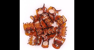 Haarklemmetjes transparant bruin