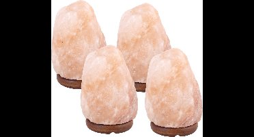 15% Korting! - 4 x Zoutlamp 2 tot 4kg - Himalayazout / Zoutsteen (Haliet) - ca. 22x12cm per stuk