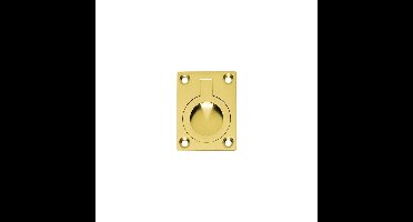 Intersteel Luikring 38 x 51 mm messing gelakt