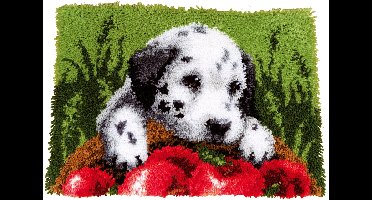 Vervaco - Knooptapijt kit - Dalmatiër met appelen - PN-0147231 - Borduren - Borduurpakket - Borduurpakket volwassenen - Borduurpakket kind