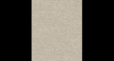 Dutch Wallcoverings -Vliesbehang - Velvet Touch - Taupe - VT10006
