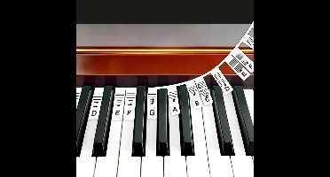 Finesse Siliconen Toetsenwijzer - Piano Stickers - Herbruikbaar Zonder Lijmresten - 32/37/49/54/61/88