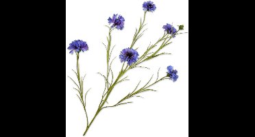 Silk-ka Kunstbloem-Zijden Bloem Korenbloem Tak Blauw-Licht Blauw 92 cm