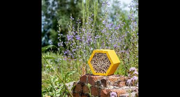 CJ Wildlife Insectenhotel - Matias - Rond Bijenhotel - Insectenhuis voor o.a. Bijen, Hommels & Lieveheersbeestjes - Bijenkast met Vervangbaar Bamboe Huisje - Geel