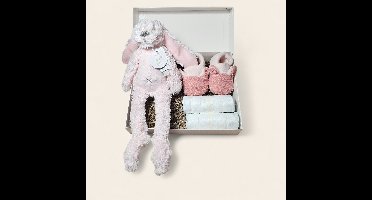 Luxe kraamcadeau meisje – met luiers, Apollo slofjes en Richie knuffel 28 cm