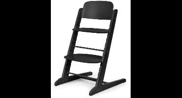 CYBEX IRIS Convertible Kinderstoel - Hout - Prachtig Zwart