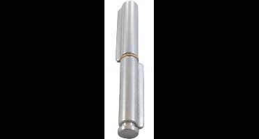 Rvs Laspaumelle 100x10mm - Met losse stift