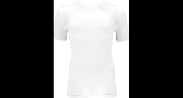 Apollo Heren T-shirt Bamboo Basic V-hals Wit L 2 stuks