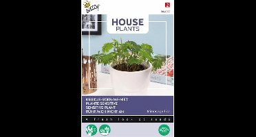 Buzzy® House Plants Mimosa pudica, Kruidje roer me niet