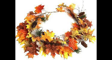 Quercus Garland bruin