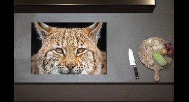 Inductieplaat Beschermer - Kop van Lynx met Oranje Ogen - 70x52 cm - 2 mm Dik - Inductie Beschermer van Vinyl