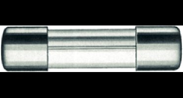 Zekering 10A 5x20mm à 10 stuks